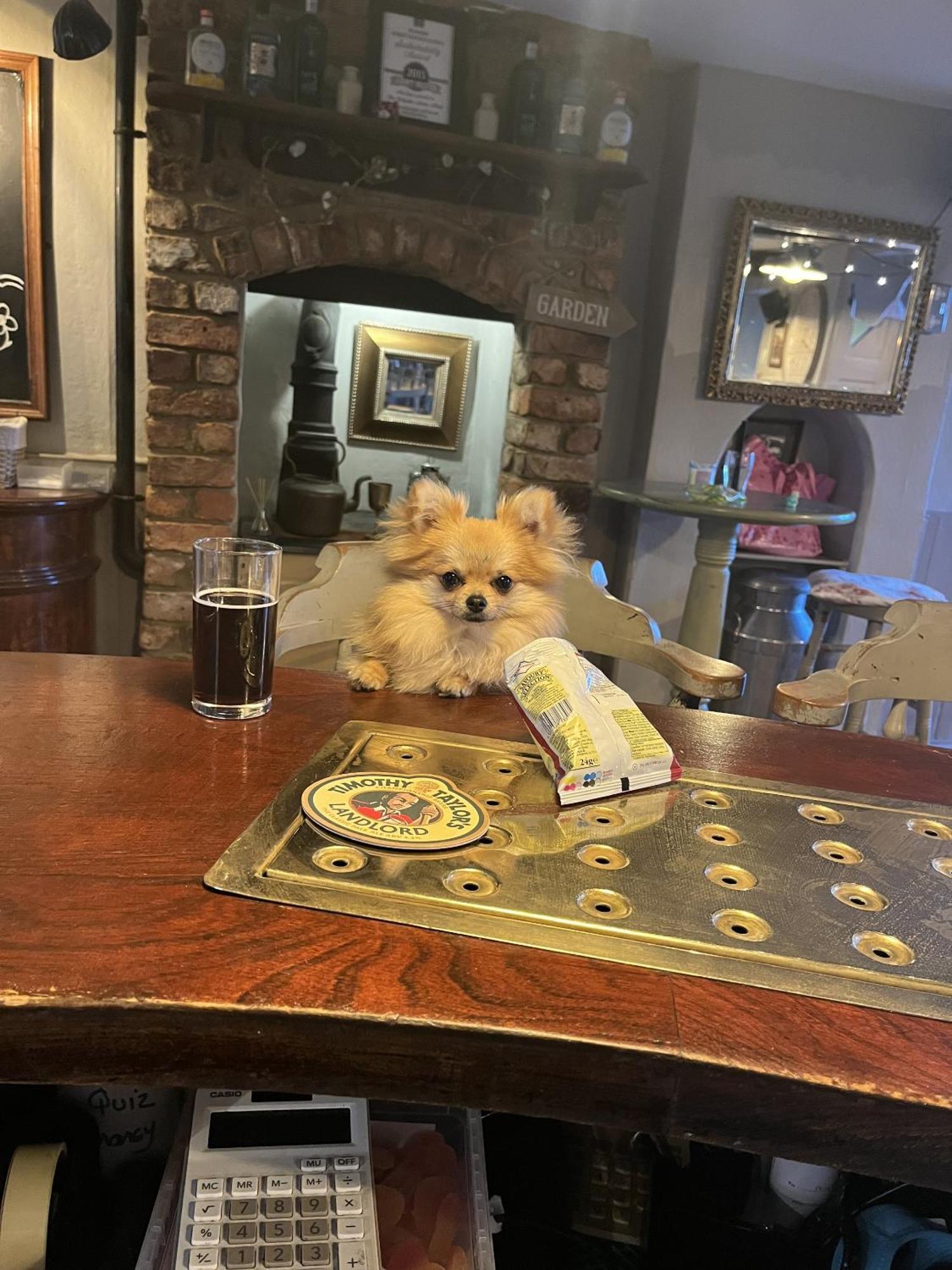 The Ilchester Arms Hotel アボッツバリー エクステリア 写真